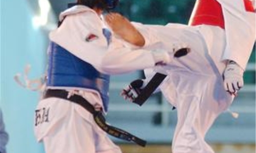 Taekwondo Việt tụt sau người Thái